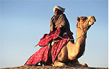 Rajasthan Tourism India